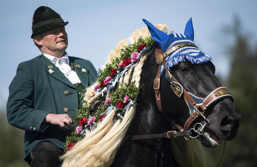 Traditional pilgrimage with horses in Traunstein © ANSA/EPA