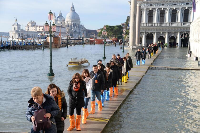 Venezia mette un limite ai gruppi organizzati, al massimo in 25 - ALL RIGHTS RESERVED