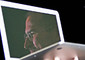 L'immagine di Steve Jobs riflessa sullo schermo di un portatile Apple © Ansa