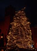 Rubano l'albero di Natale in piazza ad Arezzo