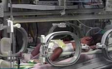 Neonata invalida dopo lite tra dottoresse a Bergamo 