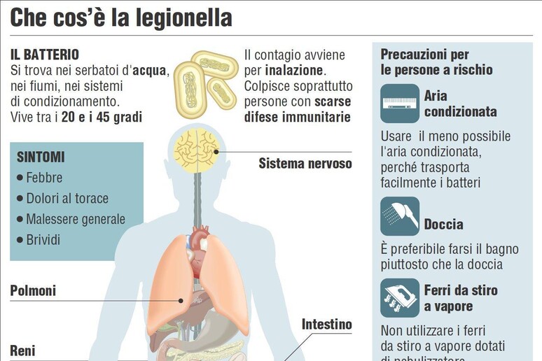 Legionella, Istituto Sanita ': ecco come si trasmette - RIPRODUZIONE RISERVATA