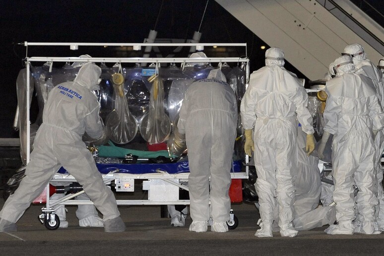 Medico di Emergency con Ebola:  'Non sono eroe ma nemmeno untore ' - RIPRODUZIONE RISERVATA