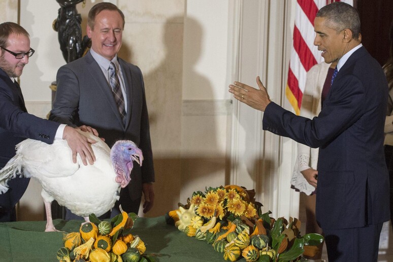 Tacchino  'Cheese '  'graziato ' da Obama per festa Thanksgiving © ANSA/EPA