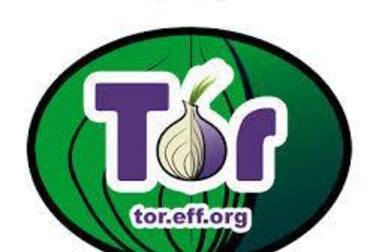 Facebook apre alla navigazione anonima di Tor - RIPRODUZIONE RISERVATA