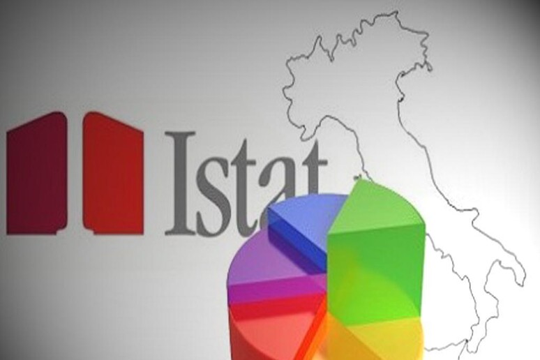 Il logo dell 'Istat - RIPRODUZIONE RISERVATA