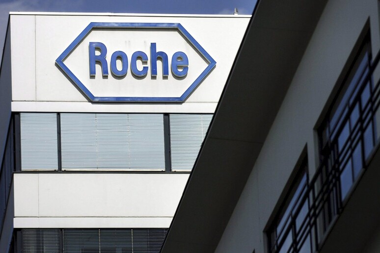 Roche © ANSA/EPA