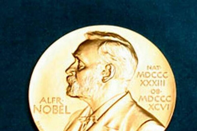 La medaglia Nobel - RIPRODUZIONE RISERVATA