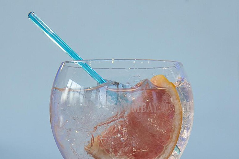 gin tonic - RIPRODUZIONE RISERVATA