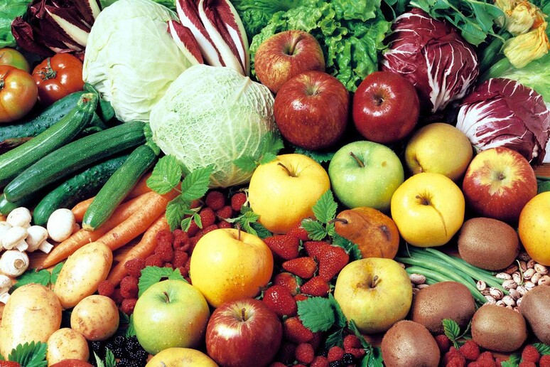 Frutta e verdura antiaging per le donne, ne proteggono il Dna - RIPRODUZIONE RISERVATA