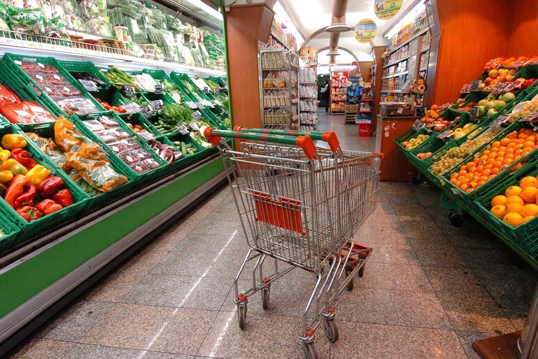Un carrello vuoto in un supermercato, in una immagine di archivio - RIPRODUZIONE RISERVATA