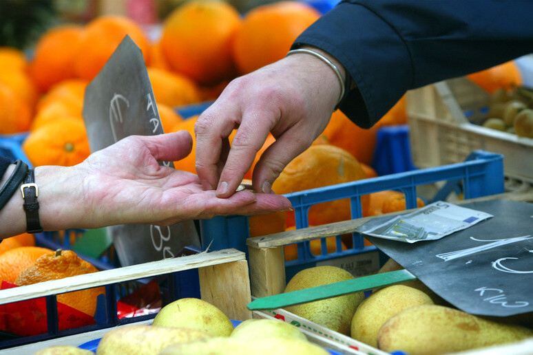 Un banco di frutta in un mercato - RIPRODUZIONE RISERVATA