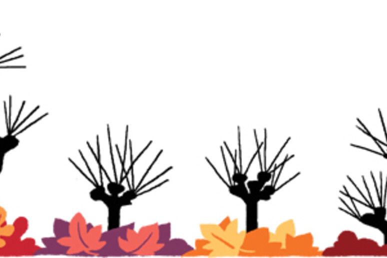 Il doodle do Google celebra l 'equinozio d 'autunno - RIPRODUZIONE RISERVATA