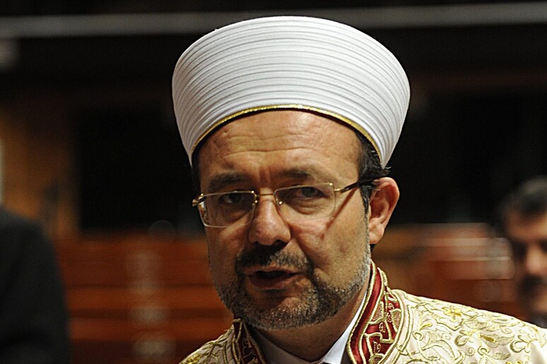 Prof. Mehmed Gormez ad un incontro interreligioso del Consiglio d 'Europa nel 2011 -     RIPRODUZIONE RISERVATA