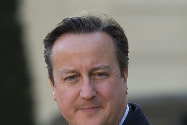 David Cameron © ANSA/EPA