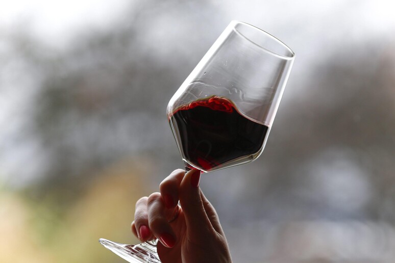 Vino: consumo scende a 1 bicchiere al giorno, per 64% a casa - RIPRODUZIONE RISERVATA