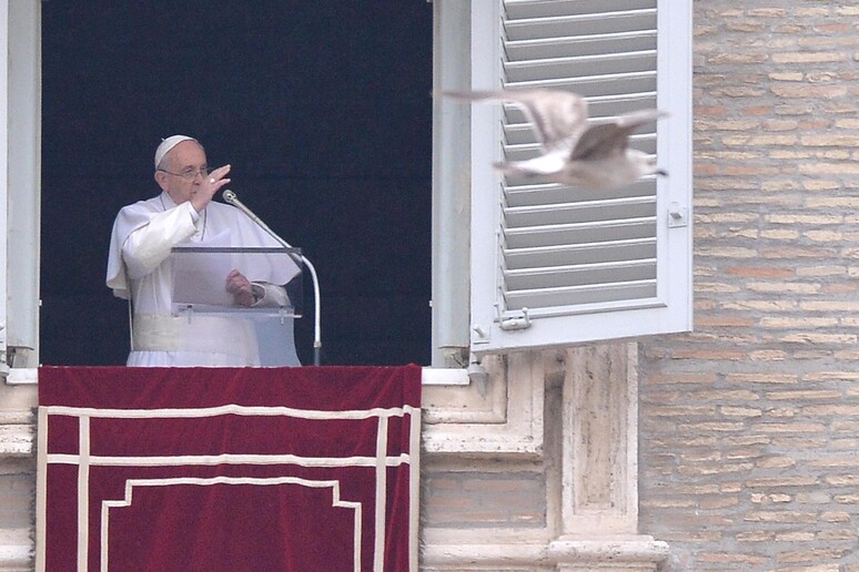 Il papa durante l 'Angelus - RIPRODUZIONE RISERVATA