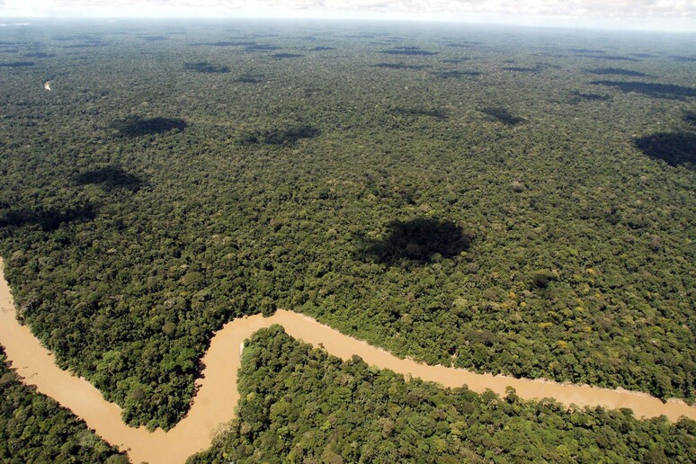 La foresta pluviale dell 'Amazzonia - RIPRODUZIONE RISERVATA