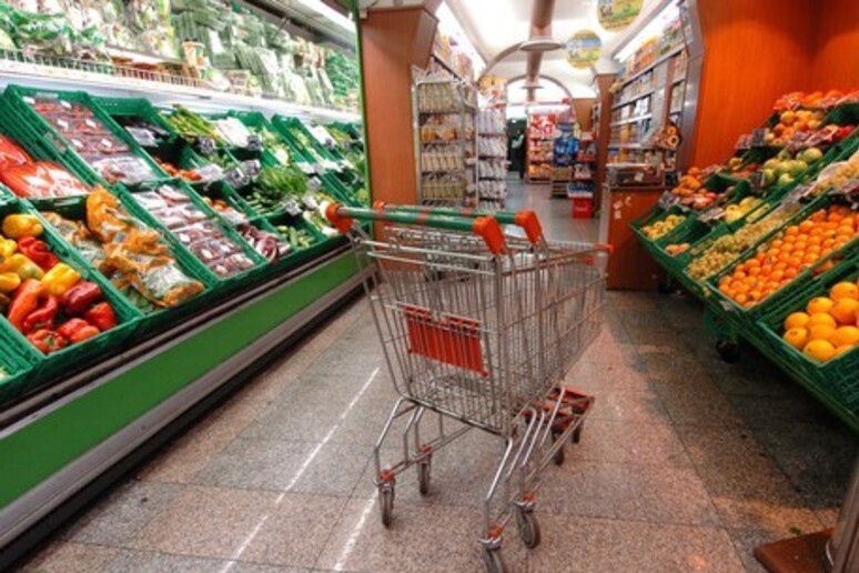 Un carrello della spesa vuoto in un supermercato - RIPRODUZIONE RISERVATA