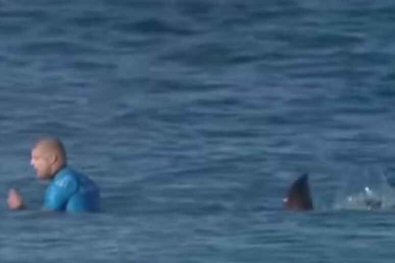 Un frame del video in cui Fanning è attaccato dallo squalo - RIPRODUZIONE RISERVATA