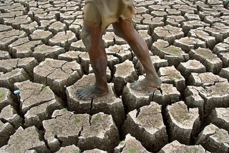 Giornata mondiale della desertificazione, anche l 'Italia colpita - RIPRODUZIONE RISERVATA