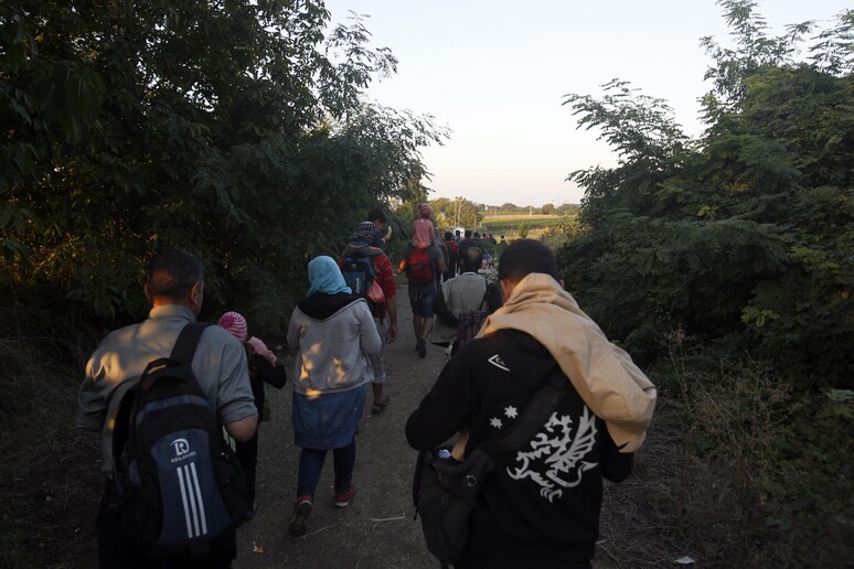 Una gruppo di migranti tra la Serbia e la Croazia © ANSA/AP