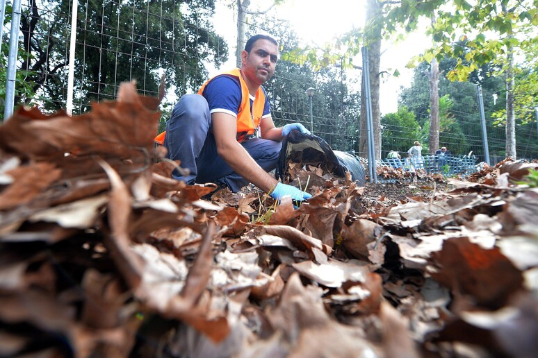 Immigrazione: un rifugiato pulisce un parco a Genova - RIPRODUZIONE RISERVATA