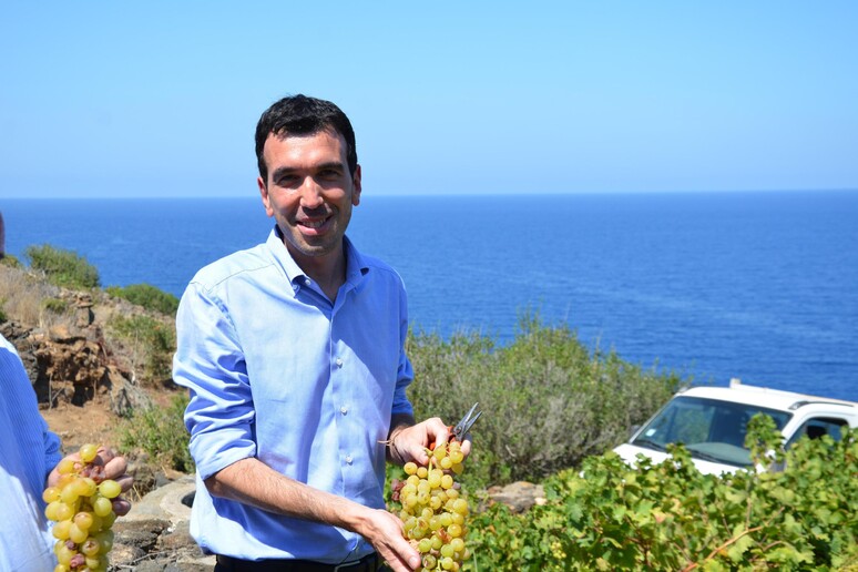 Il ministro Martina a Pantelleria - RIPRODUZIONE RISERVATA