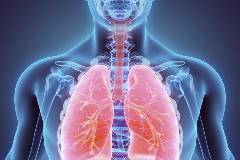 Respirare erbicidi e pesticidi aumenta rischio ai polmoni - RIPRODUZIONE RISERVATA