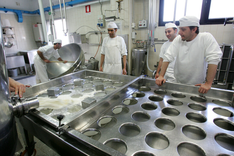 Dazi: Assolatte, a rischio mercato Usa per formaggi italiani - RIPRODUZIONE RISERVATA