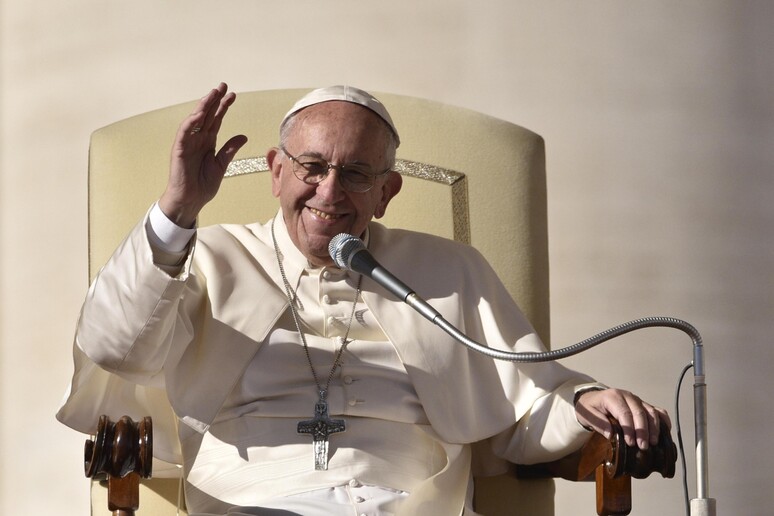 Il Papa all 'udienza generale - RIPRODUZIONE RISERVATA