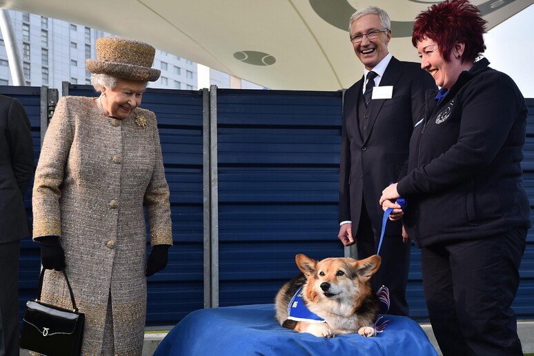 Britain 's Queen Elizabeth II visits Battersea Dogs and Cats Home [ARCHIVE MATERIAL 20150317 ] - RIPRODUZIONE RISERVATA