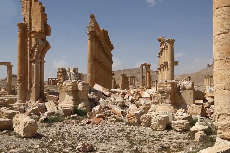 Palmira, trovati 42 corpi in fossa comune, esecuzioni Isis © ANSA/AP