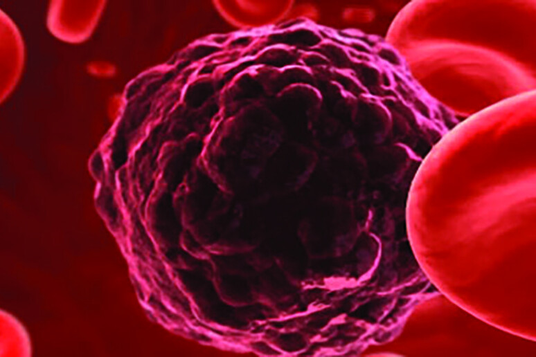 Sviluppata all 'Iss nuova biopsia liquida per diagnosi tumori - RIPRODUZIONE RISERVATA