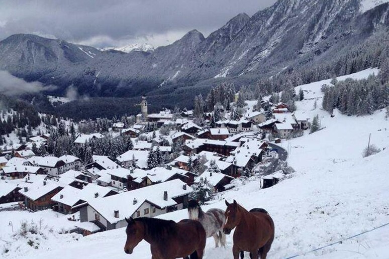 Neve in Valle d 'Aosta. Cavalli a Antagnod - RIPRODUZIONE RISERVATA