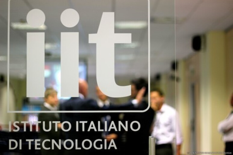 Istituto italiano di tecnologia Iit - RIPRODUZIONE RISERVATA