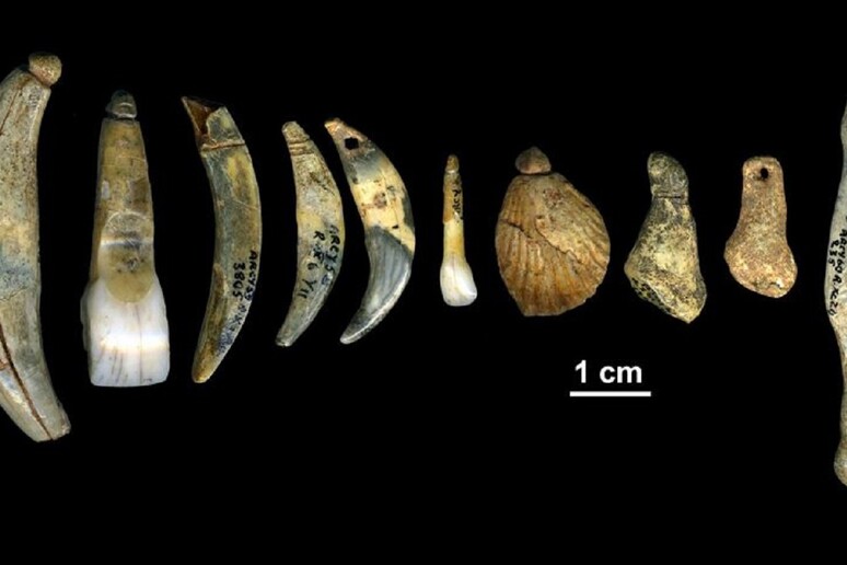 I monili scoperti nella Grotta delle Renne (fonte: Marian Vanheren) - RIPRODUZIONE RISERVATA