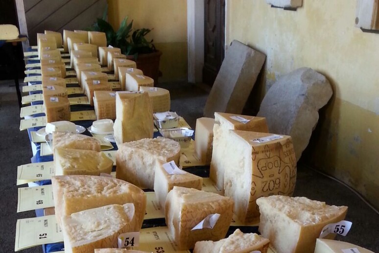 Alimentare: a  'Caseus Veneti ' 385 formaggi da 78 casari - RIPRODUZIONE RISERVATA