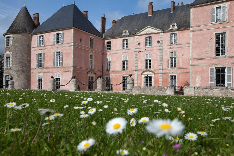 Turismo: Francia, festa dei giardini tra castelli Loira - RIPRODUZIONE RISERVATA