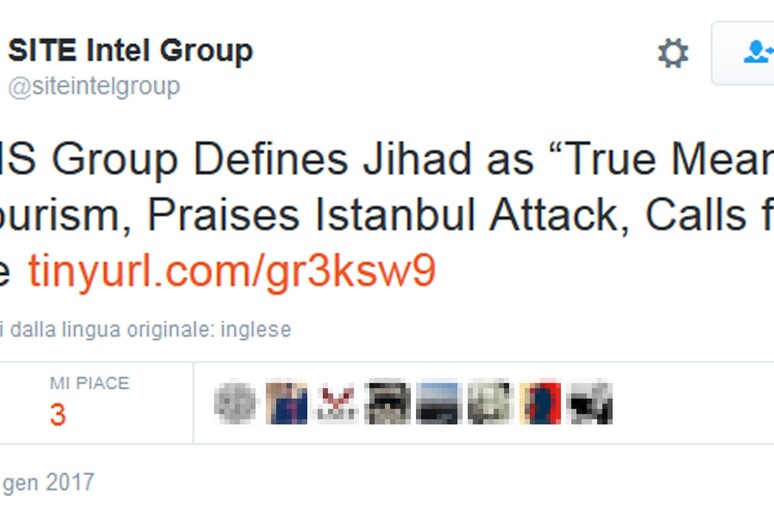 Istanbul: Site, media Isis definisce jihad  'vero turismo ' - RIPRODUZIONE RISERVATA
