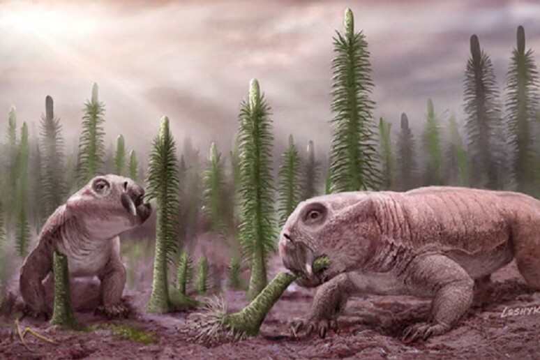 Rappresentazione artistica di Litiosauri, tra le specie che si sono affermate con successo dopo un 'estinzione di massa (fonte: Victor O. Leshyk) - RIPRODUZIONE RISERVATA