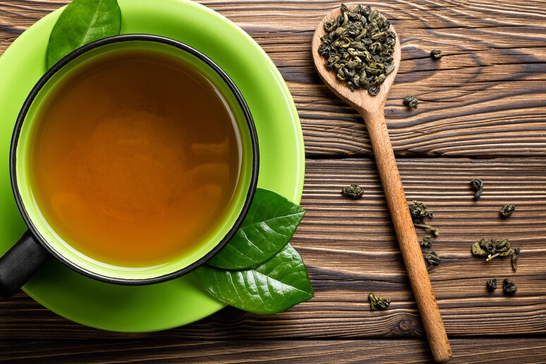 Un estratto del tè verde potrebbe fermare l 'Alzheimer - RIPRODUZIONE RISERVATA