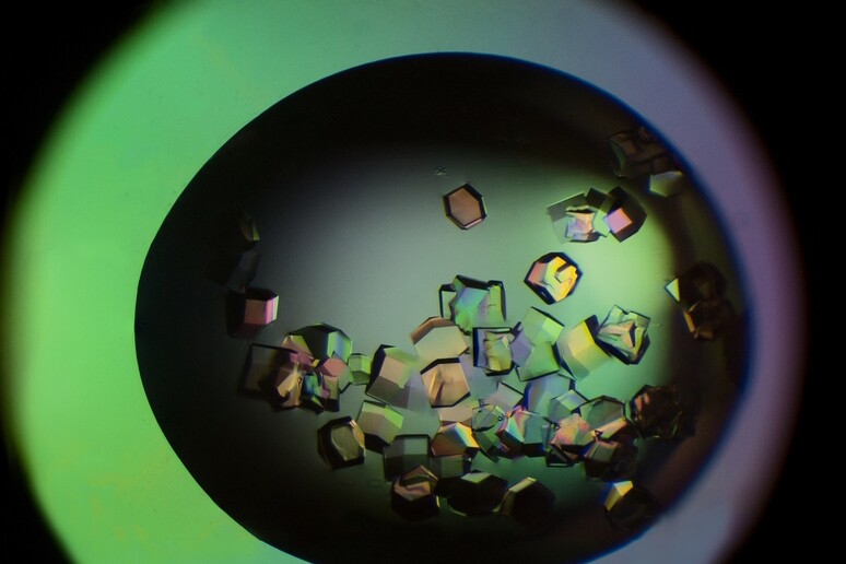 Basta esercitare pressione sui cristalli di lisozima per ottenere elettricità (fonte: Ricardo Avila, Flickr) - RIPRODUZIONE RISERVATA