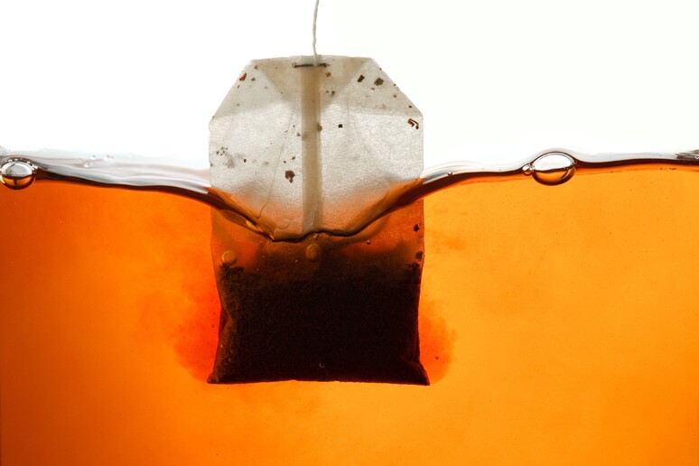 Il tè nero, un alleato importante per la perdita di peso - RIPRODUZIONE RISERVATA