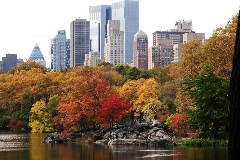 Foliage urbano - Uno scorcio di Central Park con i grattacie - RIPRODUZIONE RISERVATA
