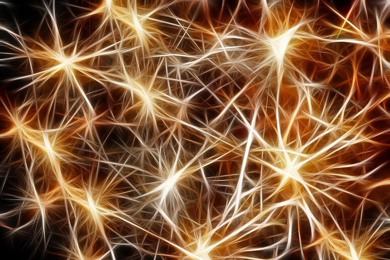 Rappresentazione artistica delle connessioni tra neuroni, ricordano delle stelle (fonte: Pixabay) - RIPRODUZIONE RISERVATA