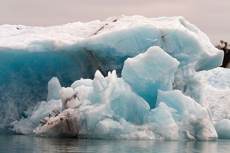 I ghiacci polari ospitano, a sorpresa, colonie di batteri che vivono in condizioni proibitive (fonte Pixabay) - RIPRODUZIONE RISERVATA