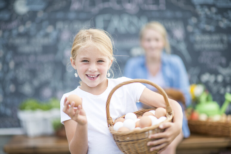 Le uova fanno bene allo sviluppo cerebrale dei bambini - RIPRODUZIONE RISERVATA