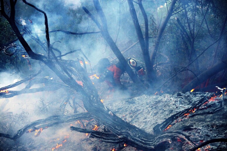Piantagione in fiamme nella contea Ventura, in California © ANSA/EPA