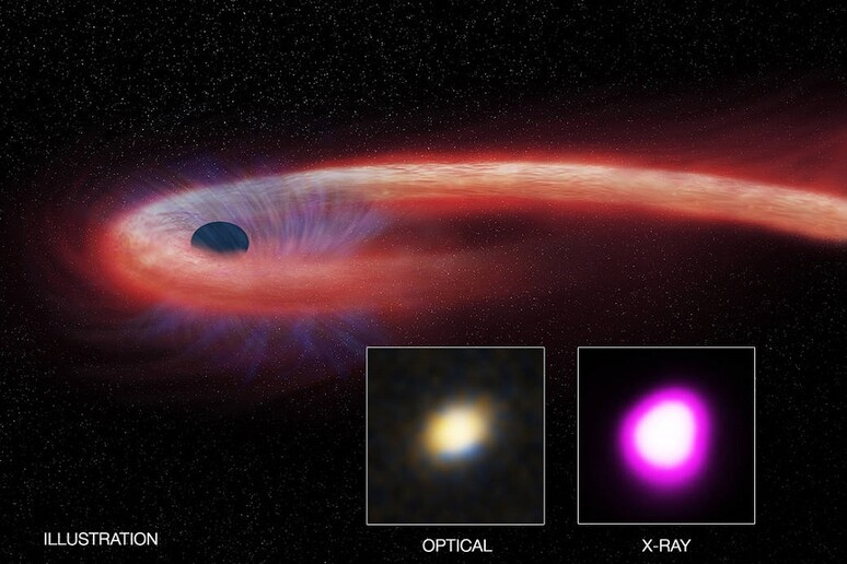 Immortalato il più lento  'pasto ' di un buco nero (fonte: Illustration: CXC/M. Weiss; X-ray: NASA/CXC/UNH/D. Lin et al, Optical: CFHT) - RIPRODUZIONE RISERVATA